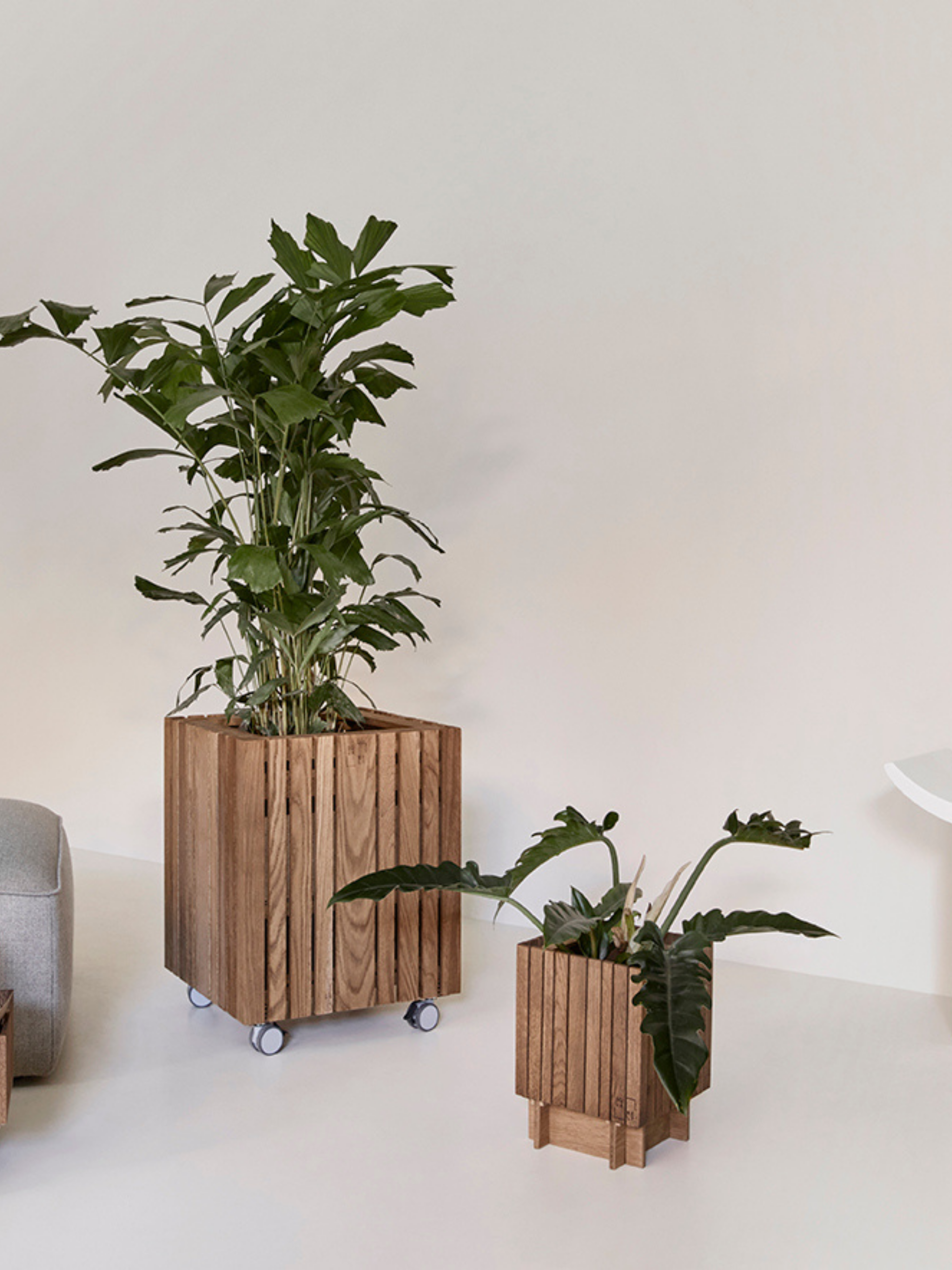 Self-Watering Planter GrowON - Dark Oak