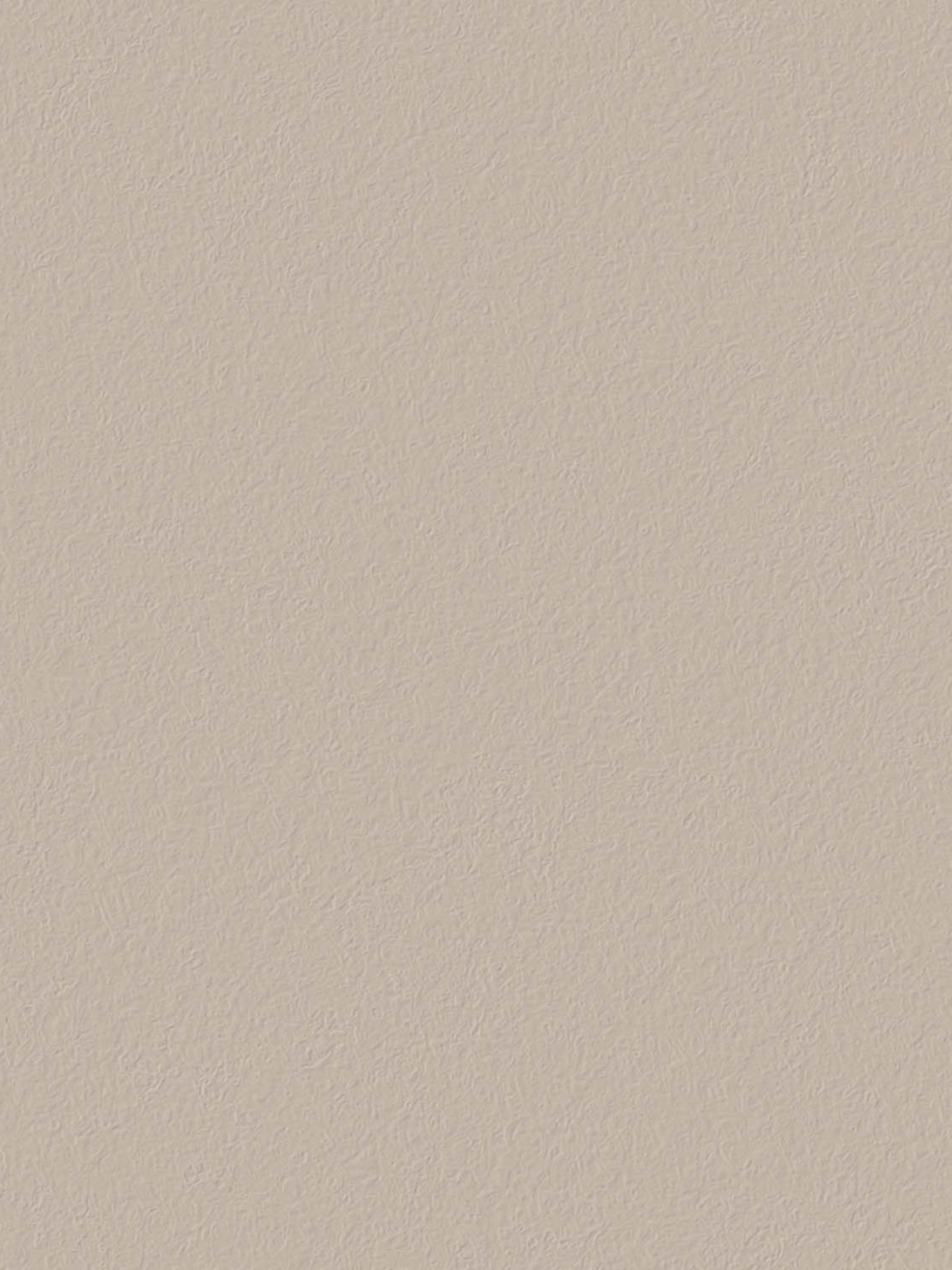 Wall Paint / Cosy Cashmere