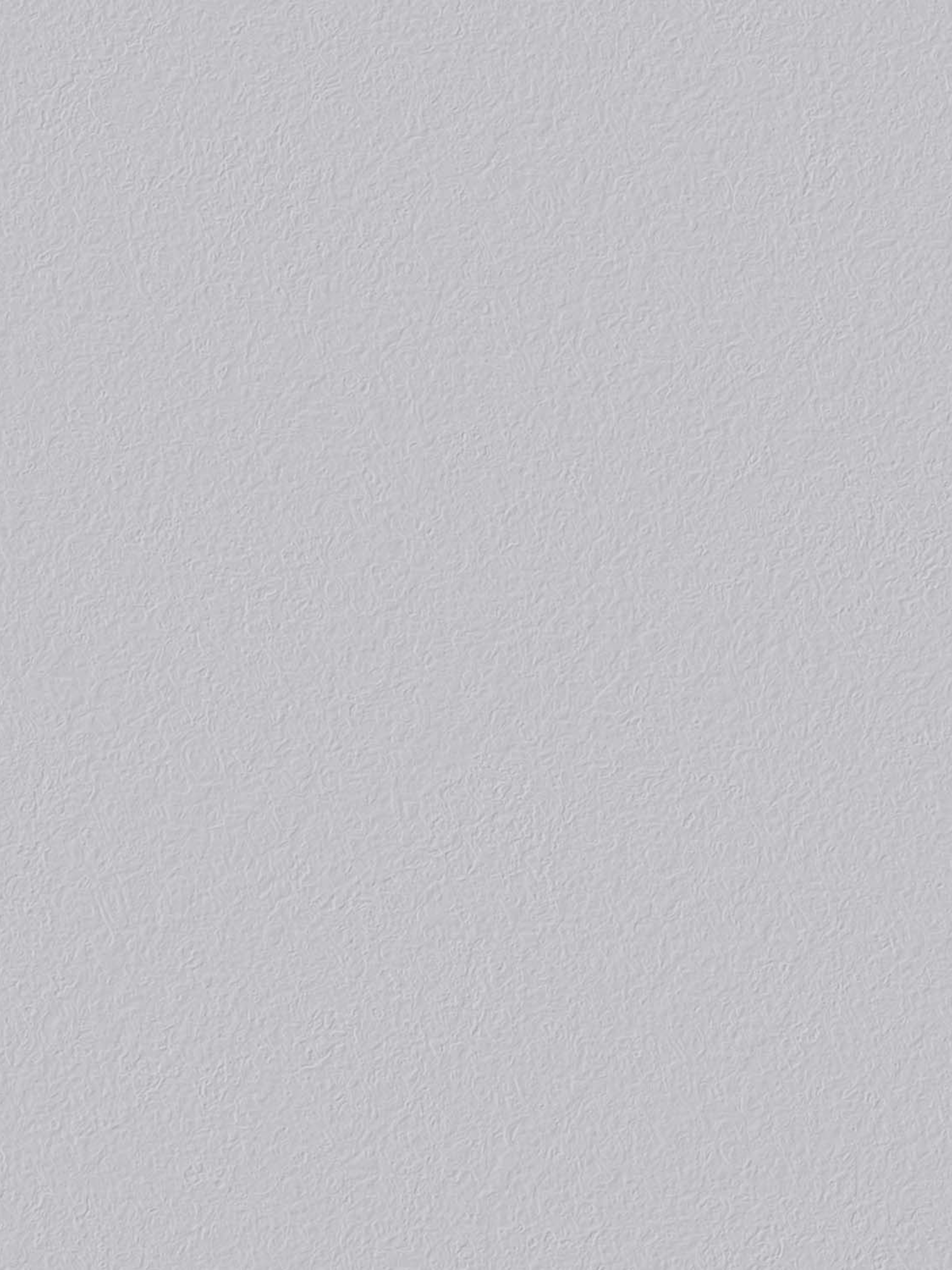 Wall Paint / Mister Gray