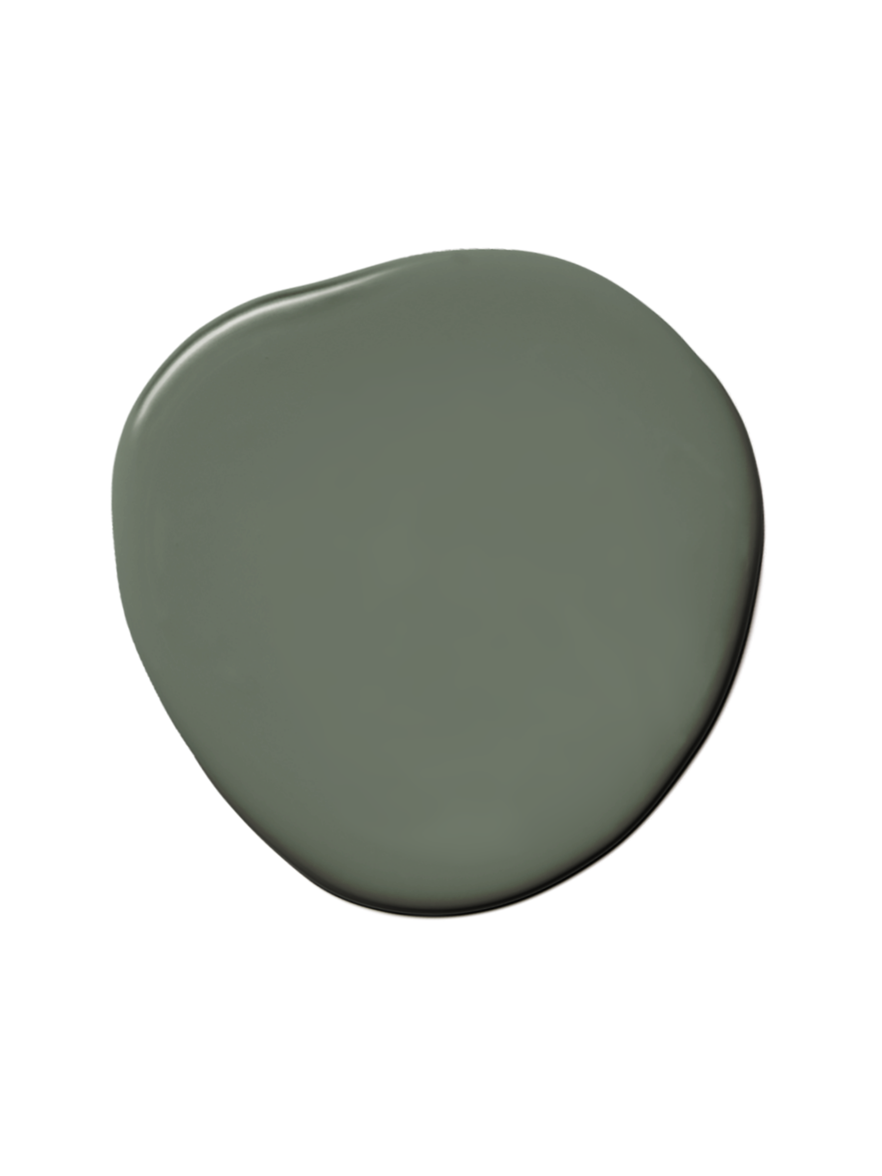 Wall Paint / Olive Garden
