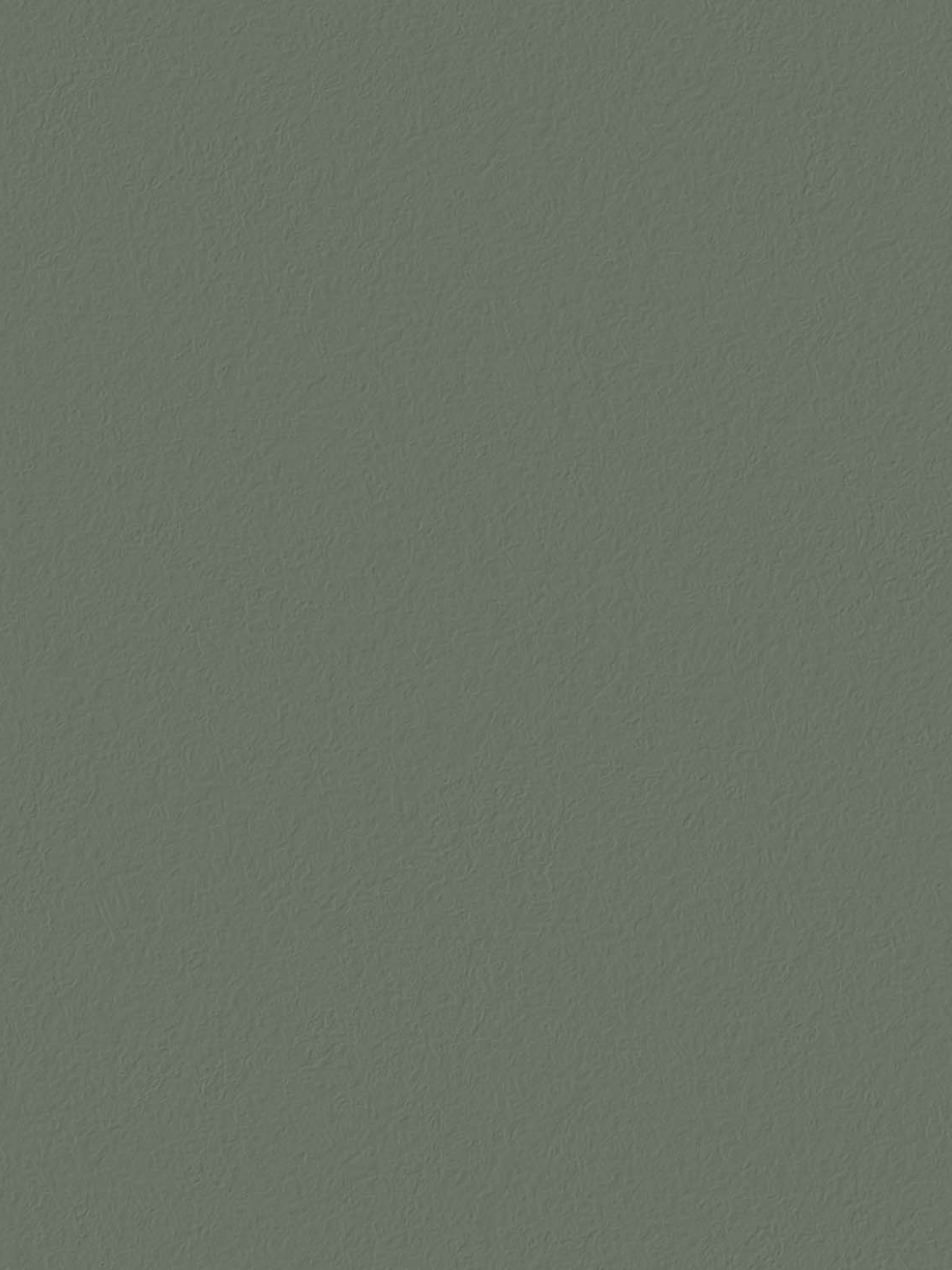 Wall Paint / Olive Garden
