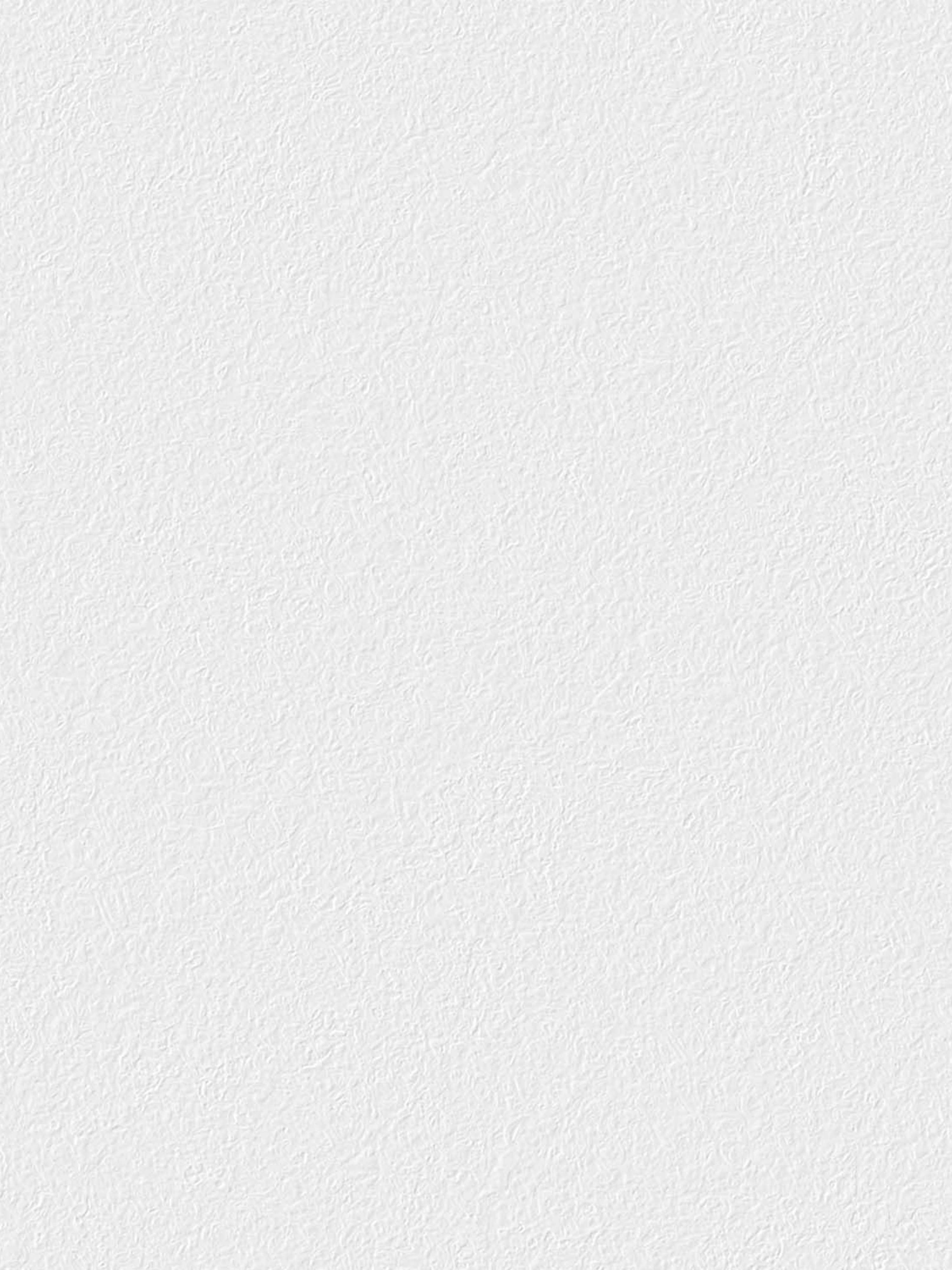 Wall Paint / Pure White