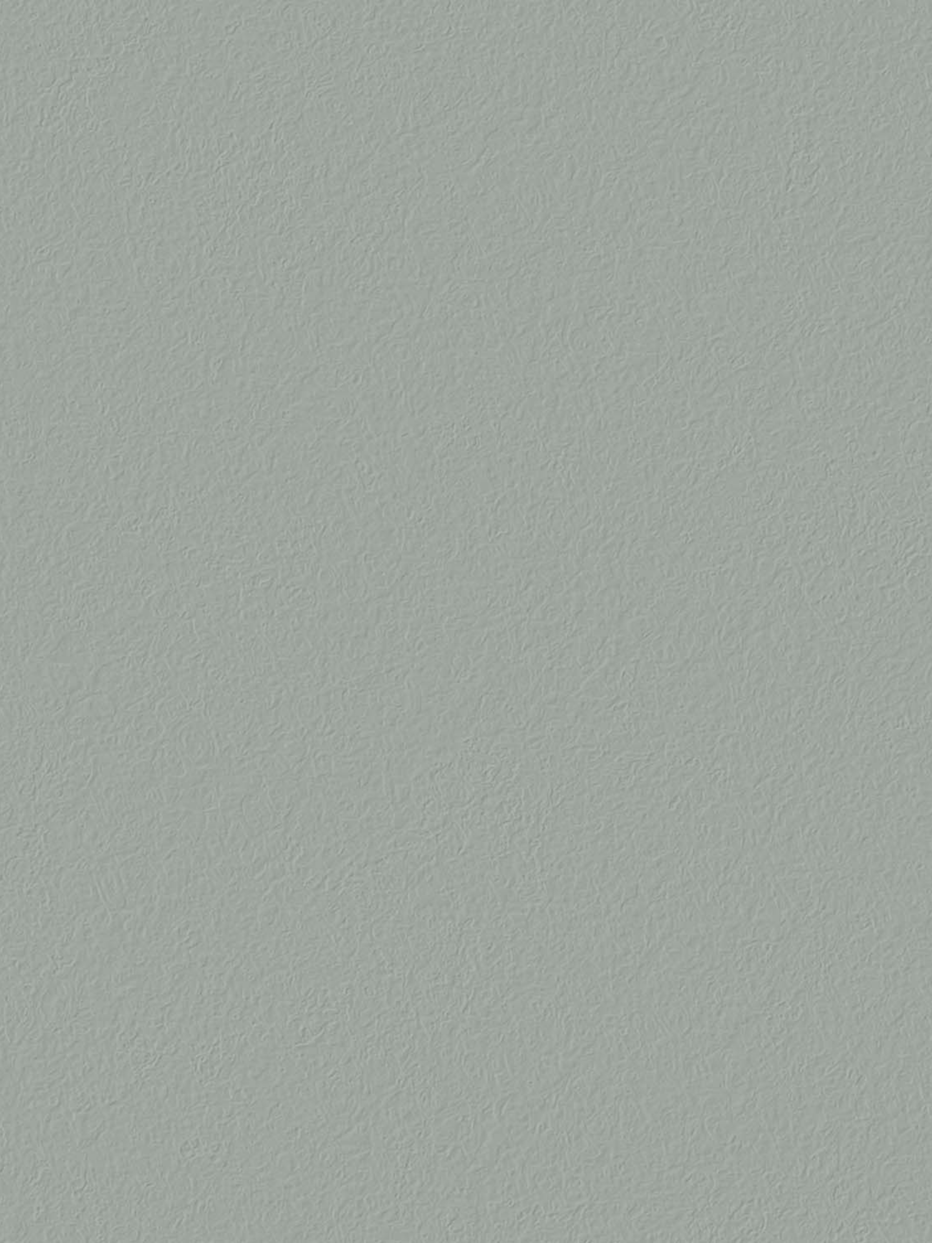 Wall Paint / Run Forest