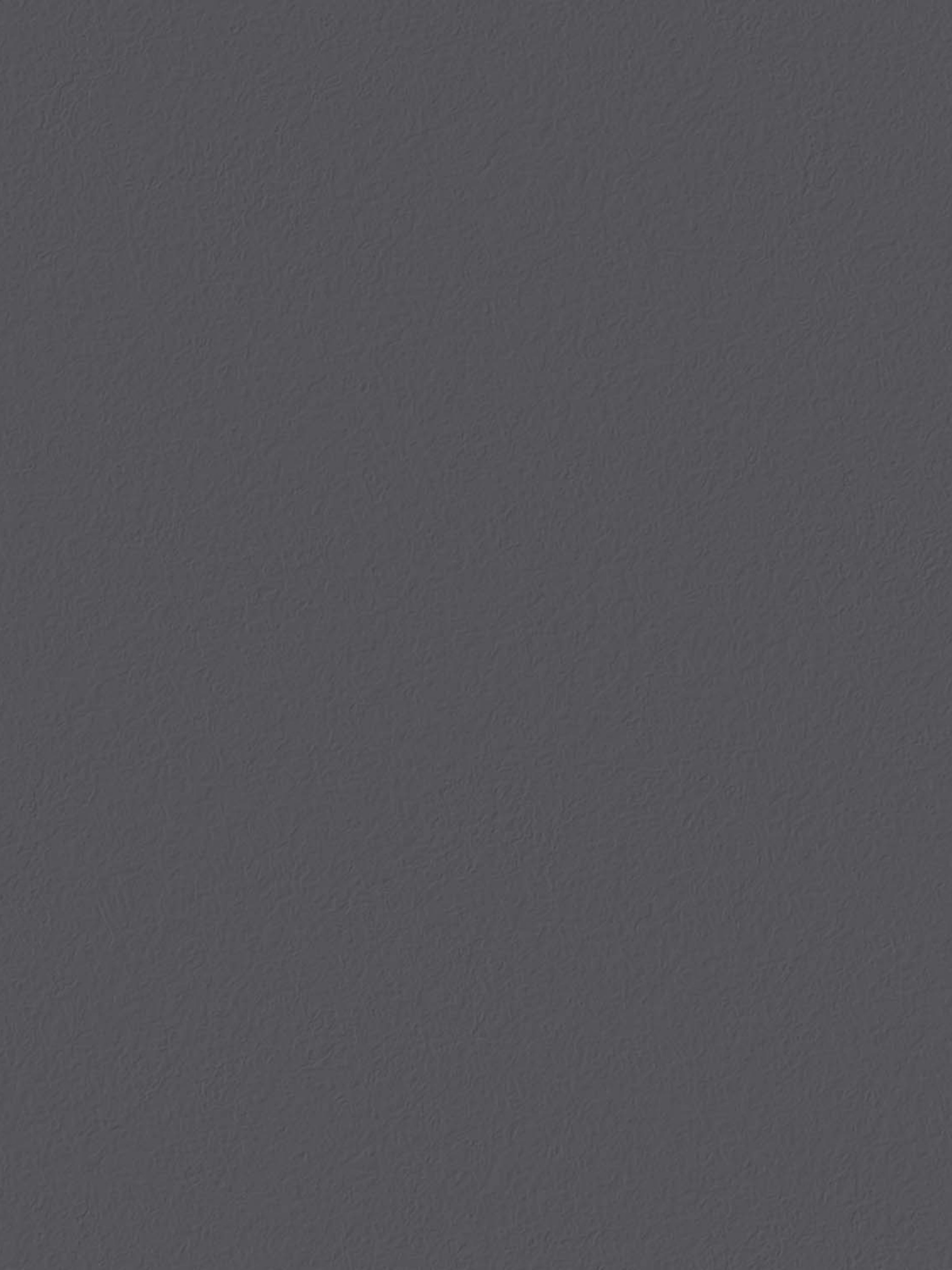 Wall Paint / Rock